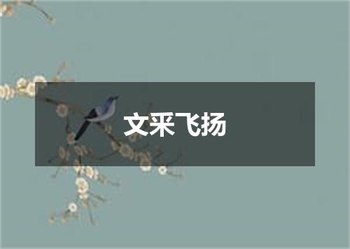 文釆飞扬