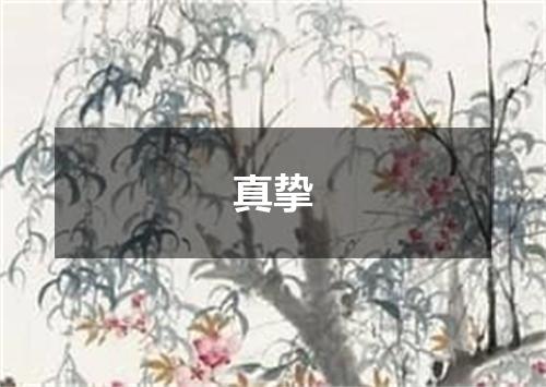 真挚