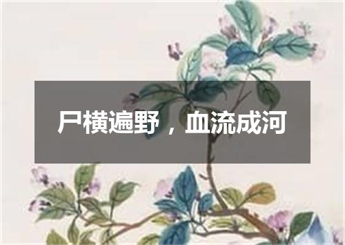 尸横遍野，血流成河