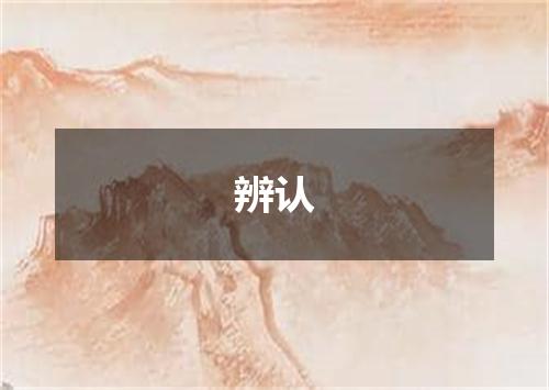 辨认