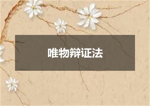 唯物辩证法