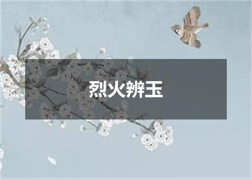 烈火辨玉