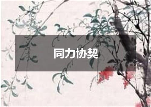同力协契