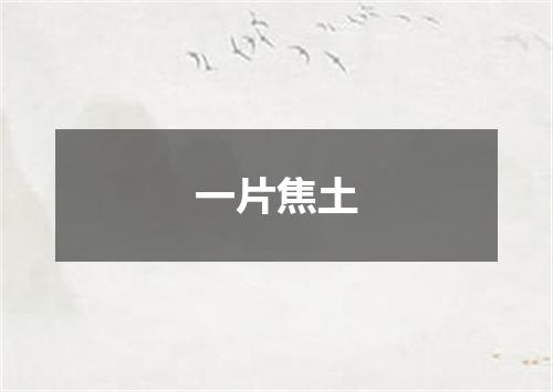 一片焦土
