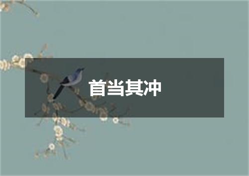 首当其冲