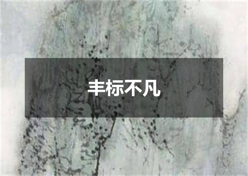 丰标不凡