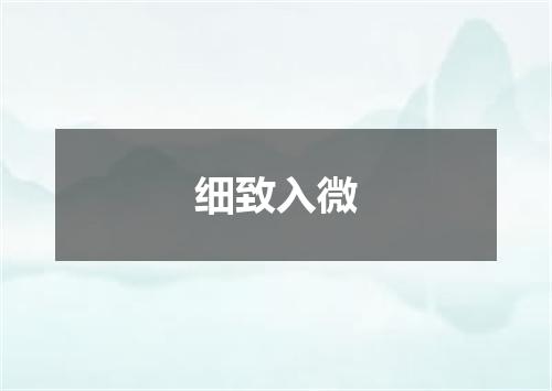 细致入微