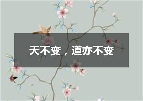 天不变，道亦不变