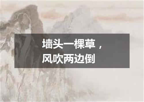 墙头一棵草，风吹两边倒