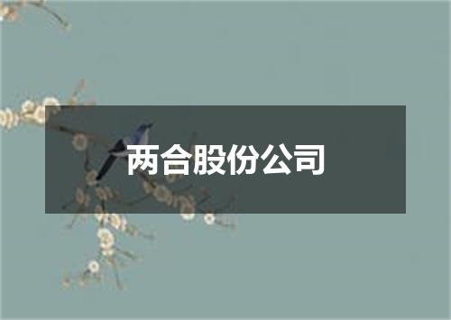 两合股份公司