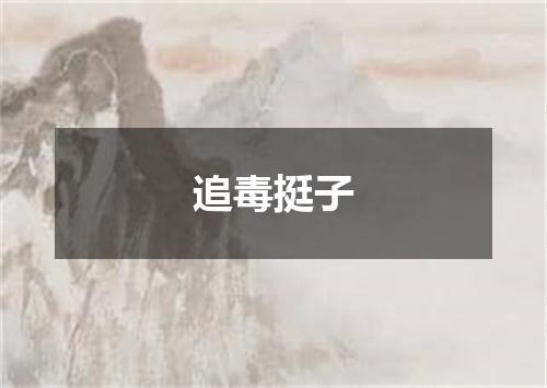 追毒挺子