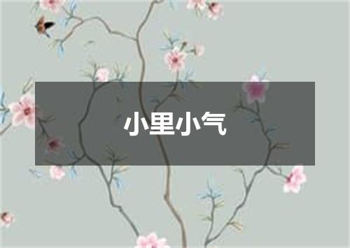 小里小气