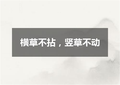 横草不拈，竖草不动