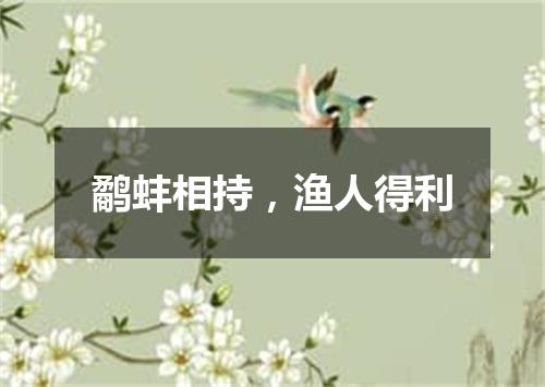 鹬蚌相持，渔人得利