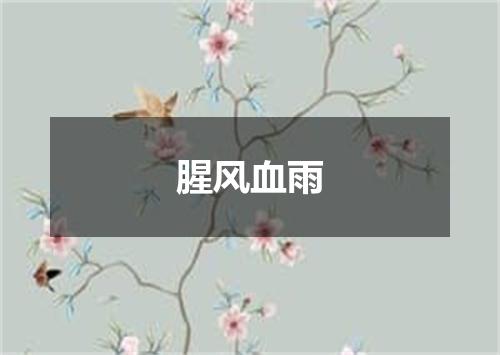 腥风血雨