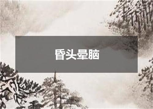 昏头晕脑