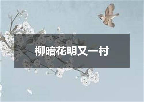 柳暗花明又一村