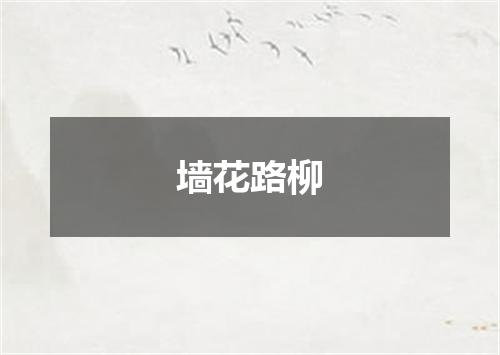 墙花路柳