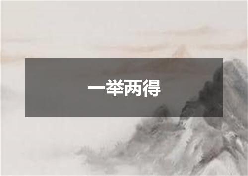 一举两得