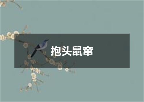 抱头鼠窜