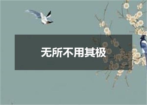 无所不用其极