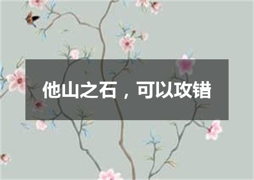 他山之石，可以攻错