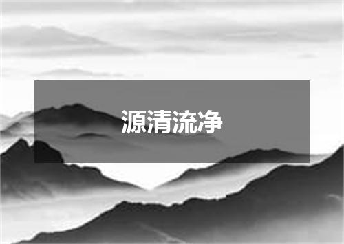 源清流净