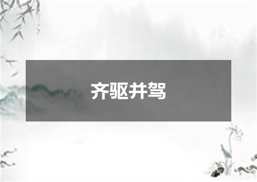 齐驱并驾