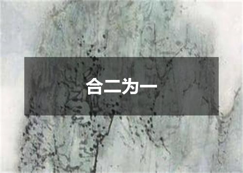 合二为一