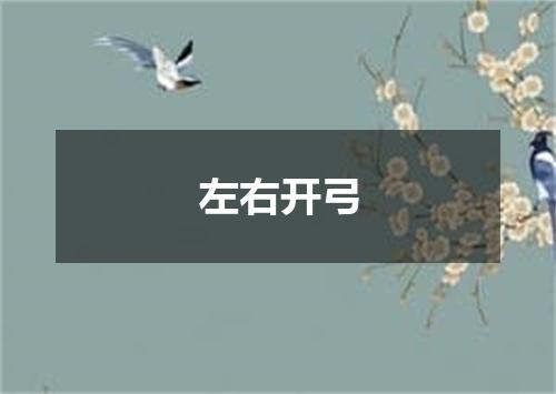 左右开弓