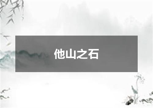 他山之石