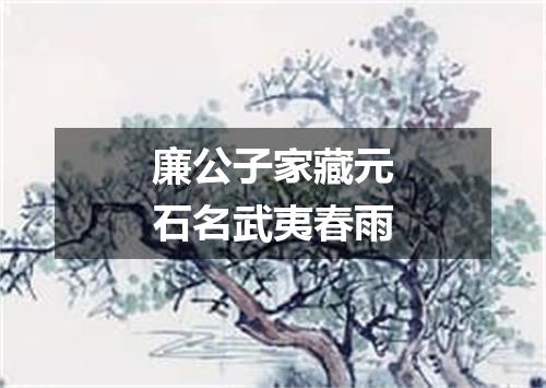 廉公子家藏元石名武夷春雨