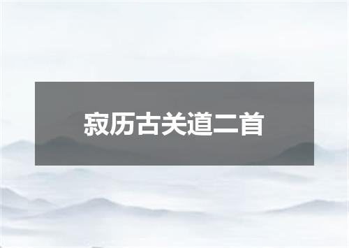 寂历古关道二首