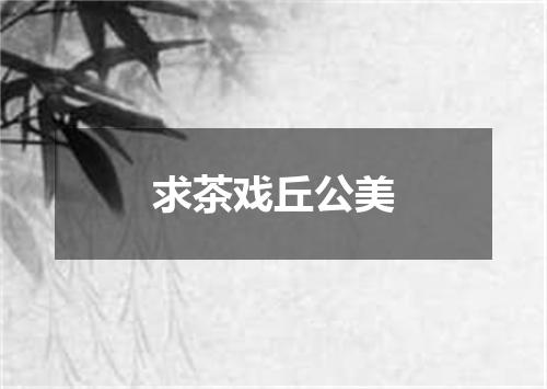 求茶戏丘公美