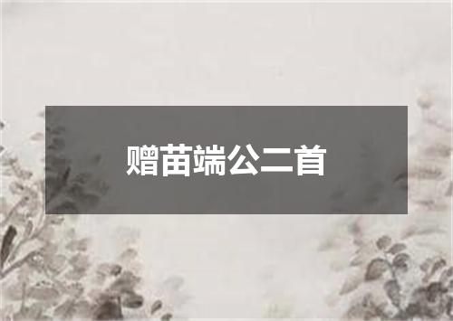 赠苗端公二首