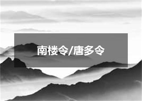南楼令/唐多令