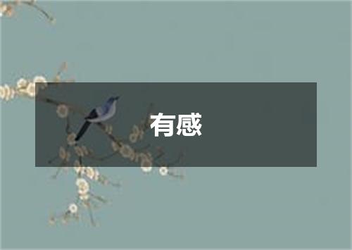 有感