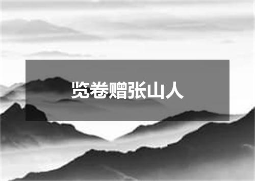 览卷赠张山人