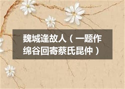 魏城逢故人（一题作绵谷回寄蔡氏昆仲）