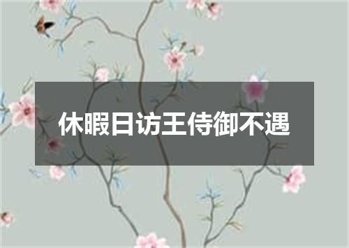 休暇日访王侍御不遇