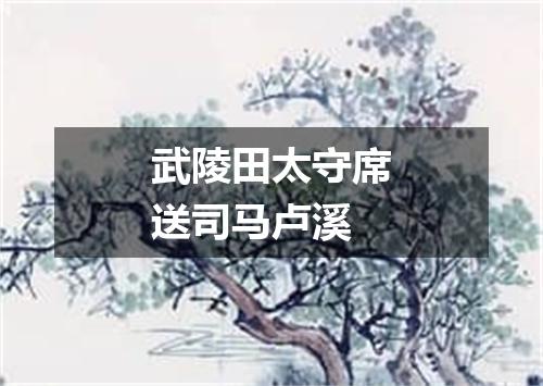 武陵田太守席送司马卢溪