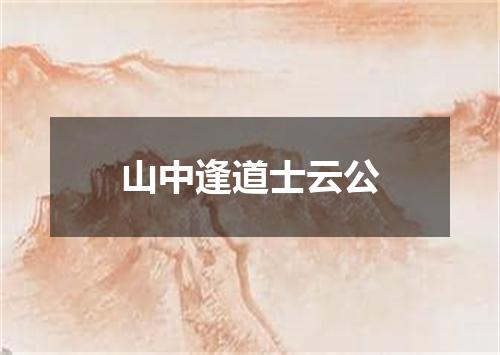 山中逢道士云公