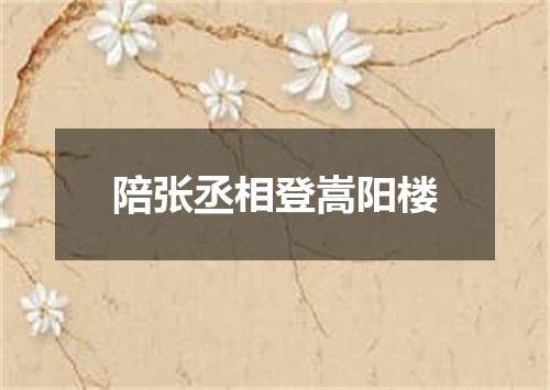 陪张丞相登嵩阳楼