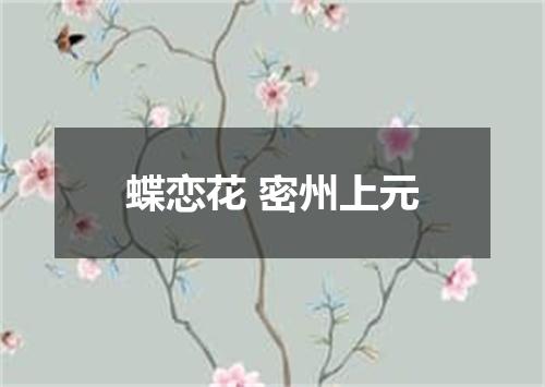 蝶恋花 密州上元