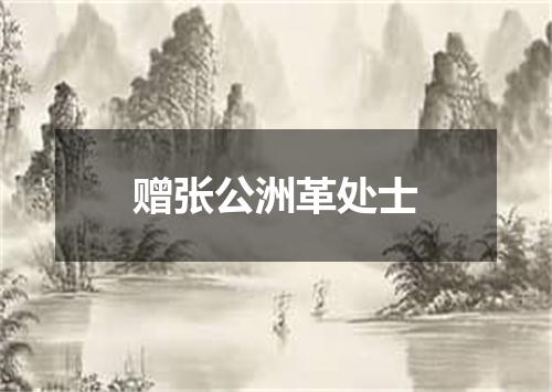 赠张公洲革处士