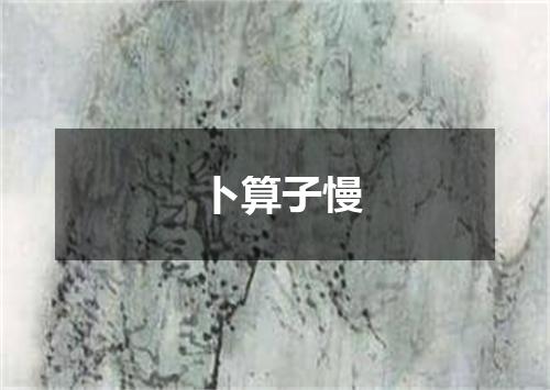 卜算子慢