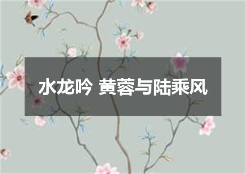 水龙吟 黄蓉与陆乘风