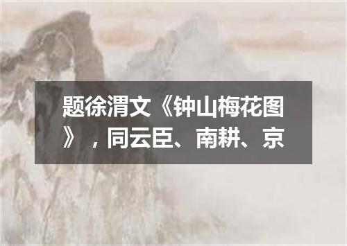 题徐渭文《钟山梅花图》，同云臣、南耕、京