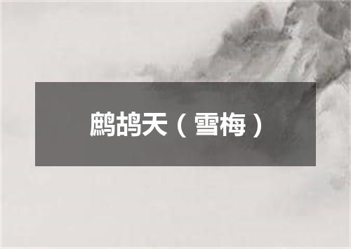 鹧鸪天（雪梅）