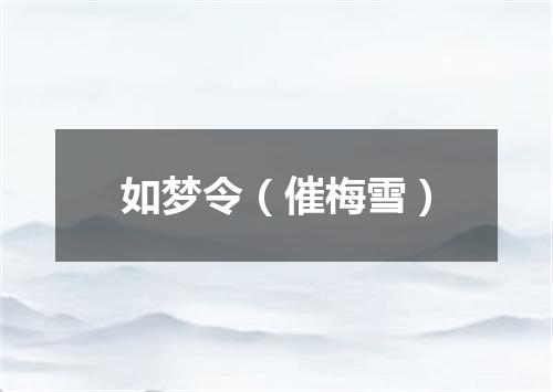 如梦令（催梅雪）